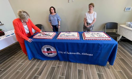 Cake Cutting